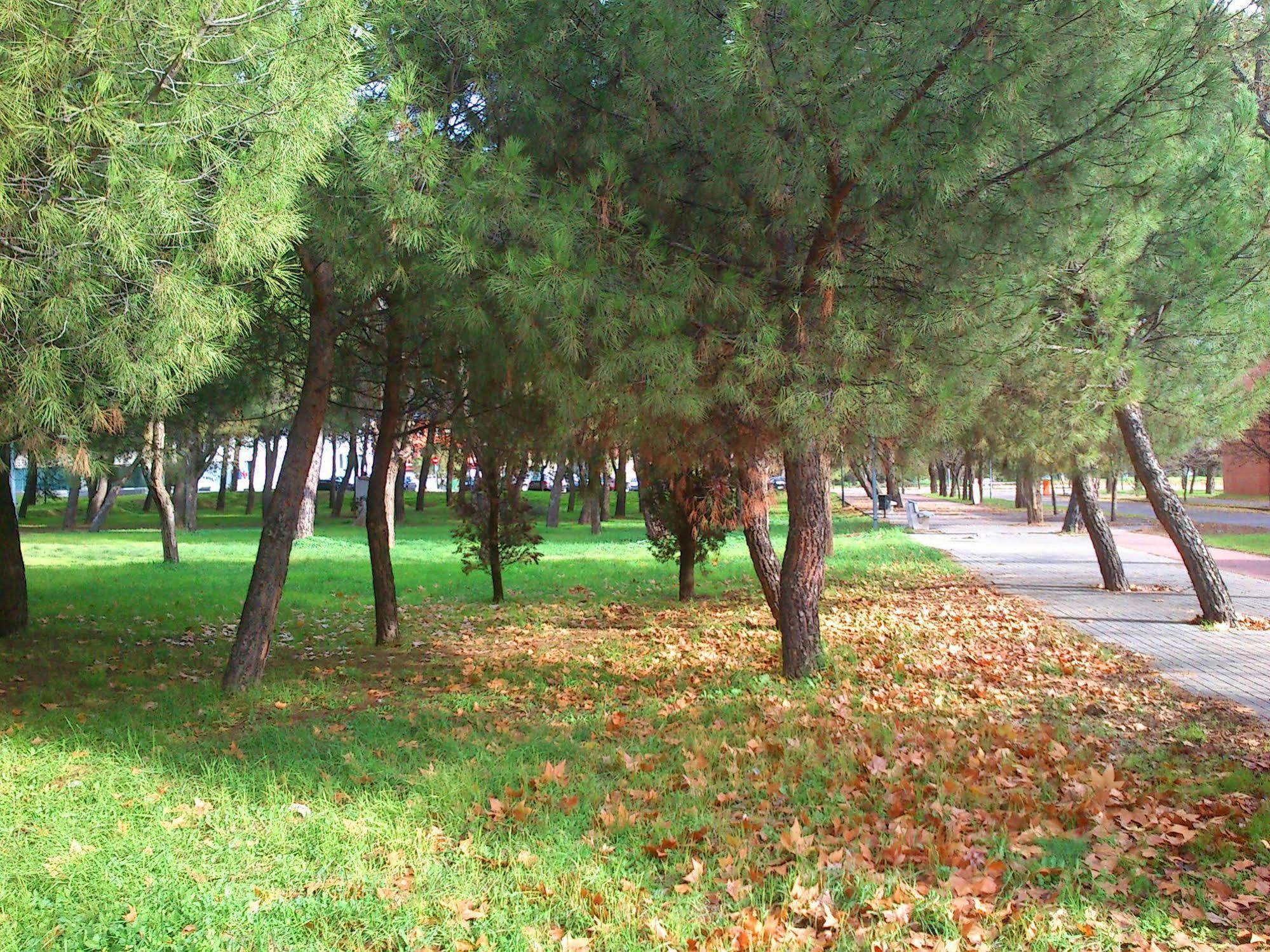Residencia Universitaria Resa Giner De Los Rios Αλκαλά ντε Ενάρες Εξωτερικό φωτογραφία